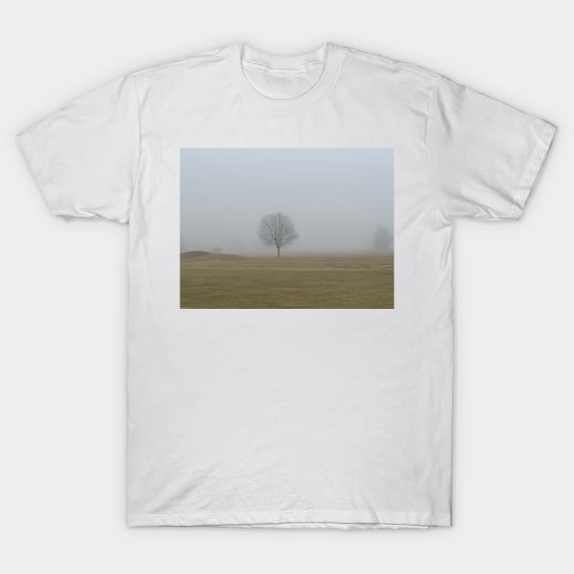 Fog T-Shirt by Silvalization